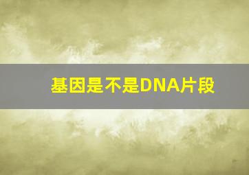 基因是不是DNA片段