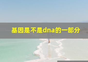 基因是不是dna的一部分