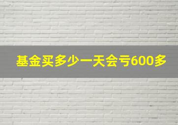 基金买多少一天会亏600多