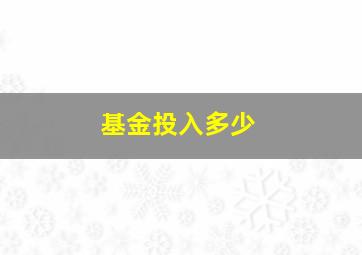 基金投入多少