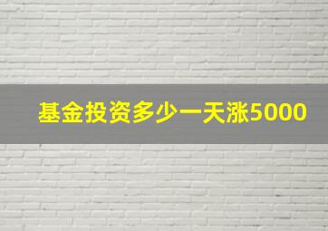 基金投资多少一天涨5000