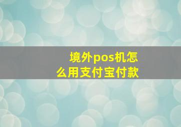 境外pos机怎么用支付宝付款