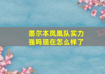 墨尔本凤凰队实力强吗现在怎么样了