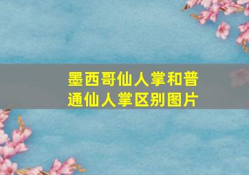 墨西哥仙人掌和普通仙人掌区别图片