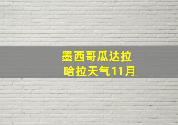 墨西哥瓜达拉哈拉天气11月