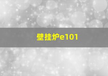 壁挂炉e101