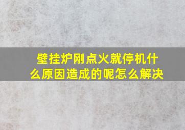 壁挂炉刚点火就停机什么原因造成的呢怎么解决