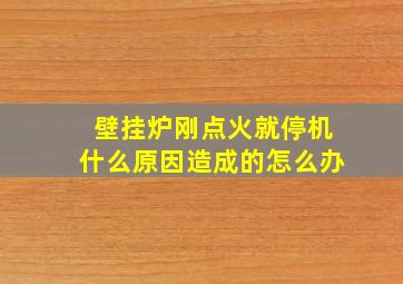 壁挂炉刚点火就停机什么原因造成的怎么办