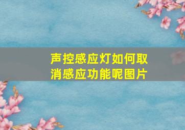 声控感应灯如何取消感应功能呢图片