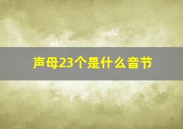 声母23个是什么音节