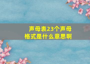 声母表23个声母格式是什么意思啊