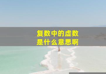 复数中的虚数是什么意思啊