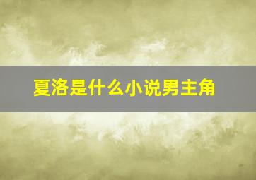 夏洛是什么小说男主角