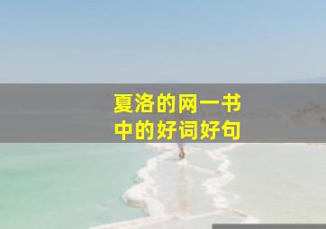 夏洛的网一书中的好词好句