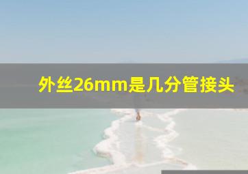 外丝26mm是几分管接头