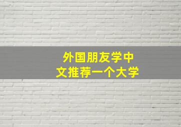 外国朋友学中文推荐一个大学