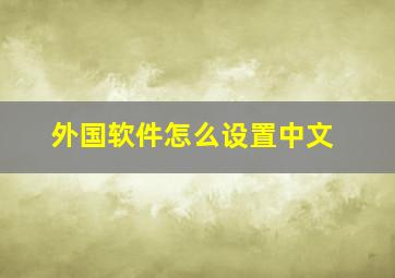 外国软件怎么设置中文