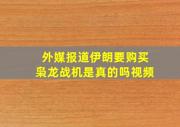 外媒报道伊朗要购买枭龙战机是真的吗视频