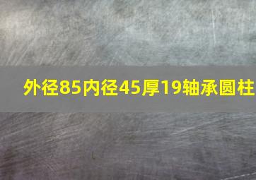 外径85内径45厚19轴承圆柱