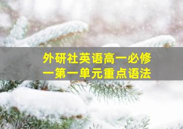 外研社英语高一必修一第一单元重点语法