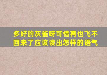 多好的灰雀呀可惜再也飞不回来了应该读出怎样的语气