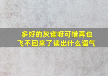 多好的灰雀呀可惜再也飞不回来了读出什么语气