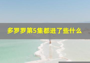 多罗罗第5集都进了些什么