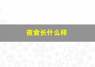 夜食长什么样