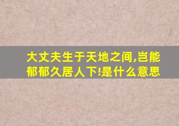 大丈夫生于天地之间,岂能郁郁久居人下!是什么意思