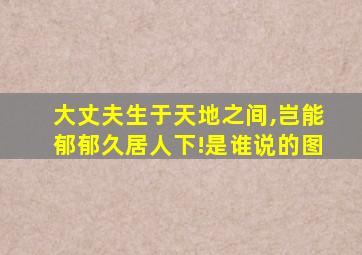 大丈夫生于天地之间,岂能郁郁久居人下!是谁说的图