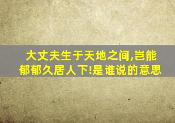 大丈夫生于天地之间,岂能郁郁久居人下!是谁说的意思