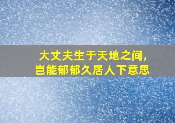 大丈夫生于天地之间,岂能郁郁久居人下意思