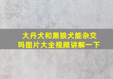 大丹犬和黑狼犬能杂交吗图片大全视频讲解一下