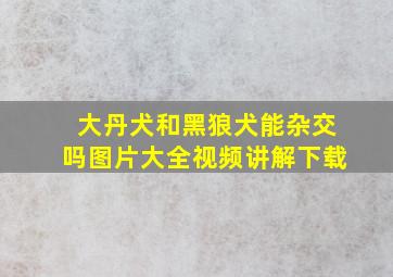 大丹犬和黑狼犬能杂交吗图片大全视频讲解下载