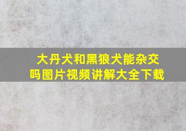 大丹犬和黑狼犬能杂交吗图片视频讲解大全下载