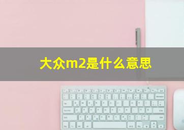 大众m2是什么意思