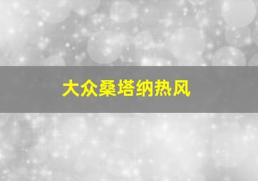 大众桑塔纳热风