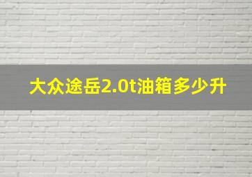 大众途岳2.0t油箱多少升