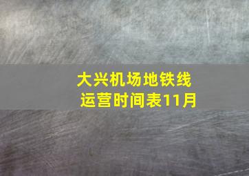 大兴机场地铁线运营时间表11月