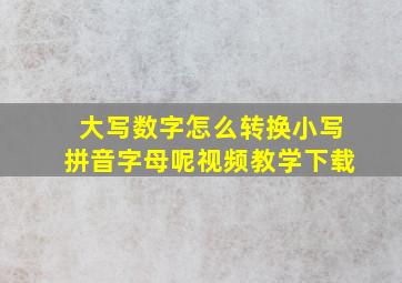 大写数字怎么转换小写拼音字母呢视频教学下载