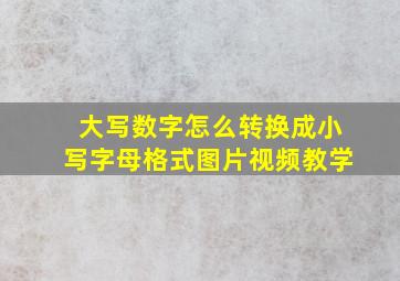 大写数字怎么转换成小写字母格式图片视频教学