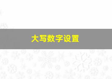 大写数字设置