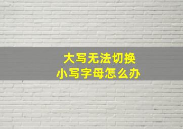 大写无法切换小写字母怎么办