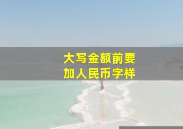 大写金额前要加人民币字样