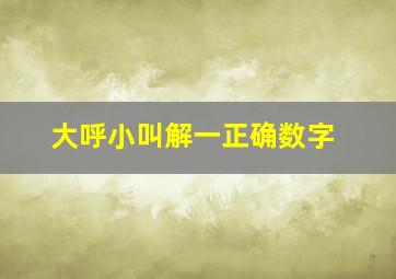 大呼小叫解一正确数字