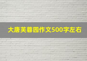 大唐芙蓉园作文500字左右