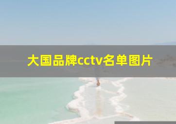 大国品牌cctv名单图片