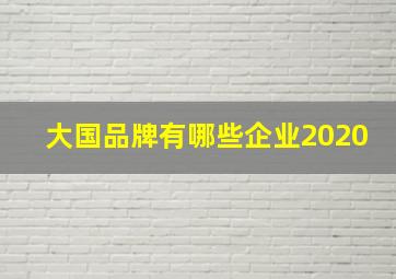 大国品牌有哪些企业2020