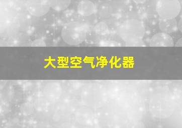 大型空气净化器