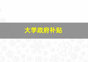 大学政府补贴